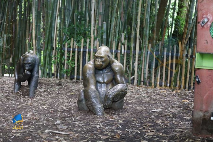visit Melbourne Zoo