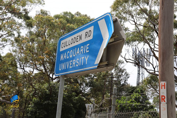 دانشگاه مک کواری شهر سیدنی