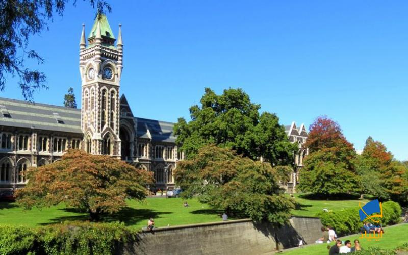 دانشگاه‌های کشور نیوزیلند از سطح کیفی بالایی در سیستم آموزشی خود برخوردارند و در رنکینگ جهانی همواره دارای اعتبار بالایی می‌باشند.