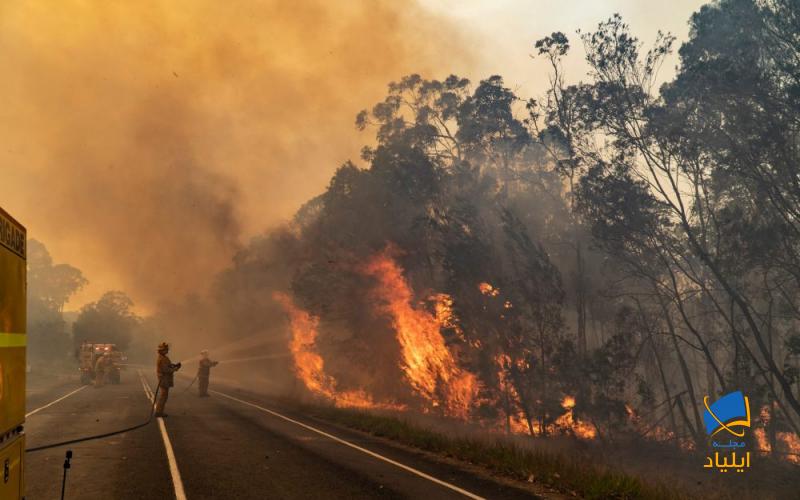 در ماه‌های بین اکتبر تا مارس در بخشی از استرالیا گرمای بسیار شدیدی وجود دارد و امکان‌ بروز آتش‌سوزی در علفزارها وجود دارد. این وضعیت برای کسی که تا کنون تجربه نداشته باشد بسیار ترسناک است.