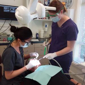 شرایط تحصیل در رشته‌ی دندانپزشکی در کشور نیوزیلند چگونه است؟